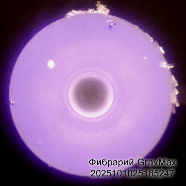 2025101025185247 Волокно оптической лазерного источника сварка волокна ремонт лазера