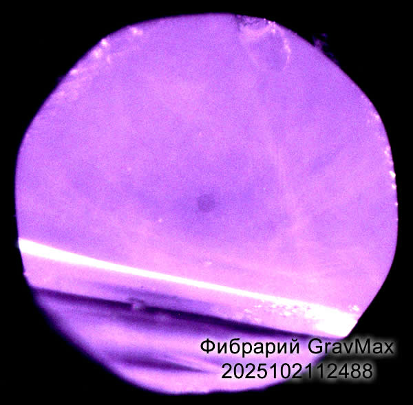 2025102112488 Волокно оптическое лазерного источника Обучение ремонт лазеров Сварка волокна