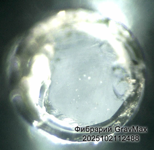 2025102112488 Волокно оптическое лазерного источника Обучение сварке волокон