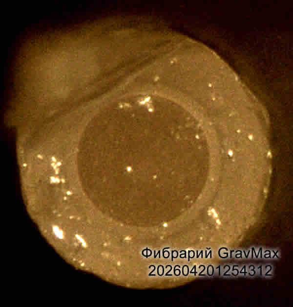 202604201254312 Ремонт лазера Обучение Свaрка LDF волокон